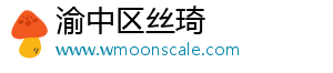 渝中区丝琦